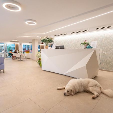 Hotel San Domingo Беллария-Иджеа-Марина Экстерьер фото