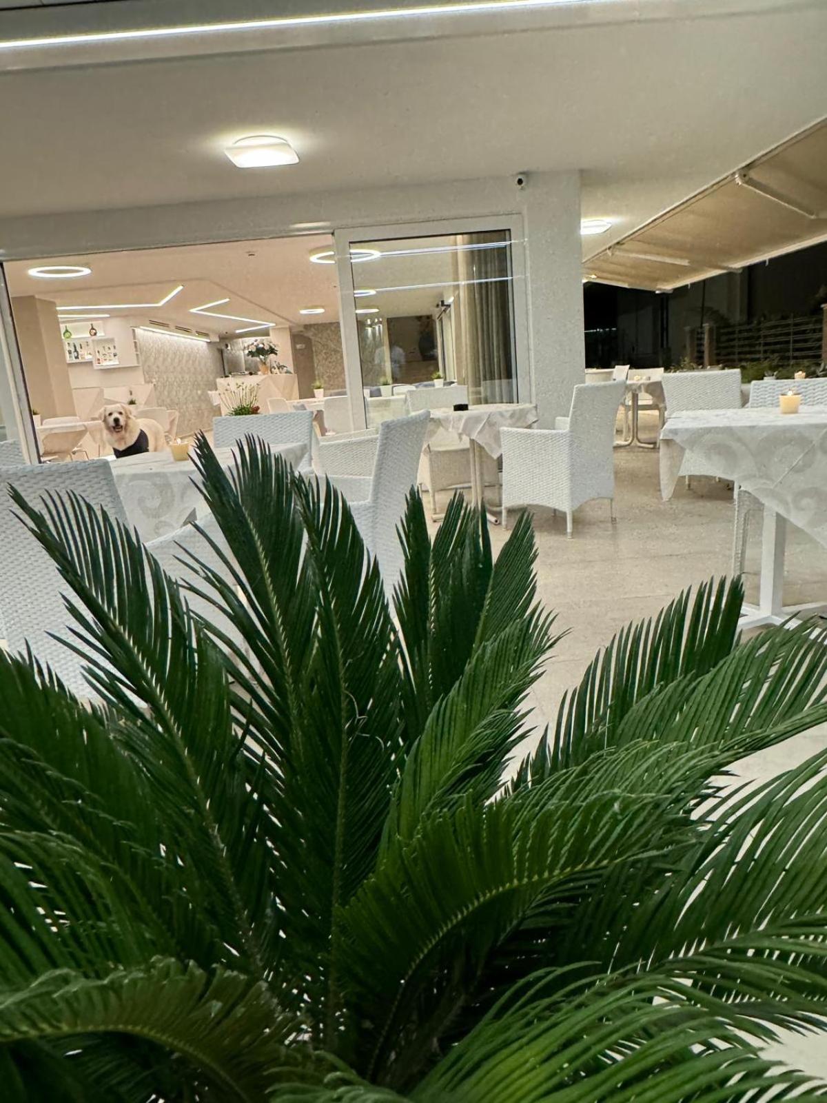 Hotel San Domingo Беллария-Иджеа-Марина Экстерьер фото